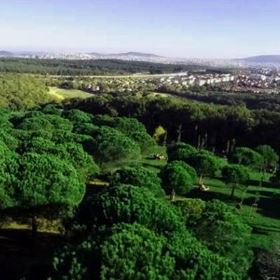 Çekmeköy Asansörlü Taşıma